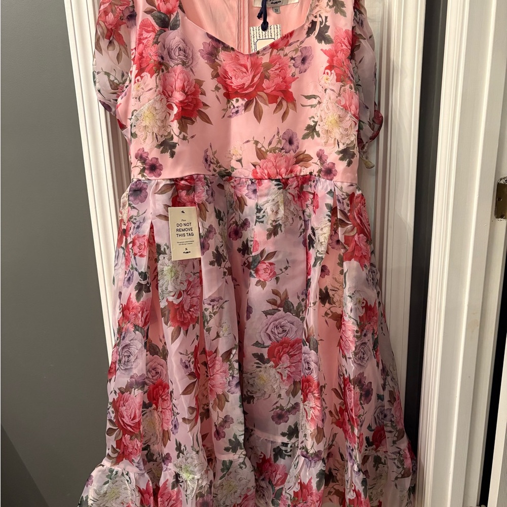 JessaKae Amelia dress NWT 1X